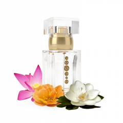 Parfum femei w111 50 ml