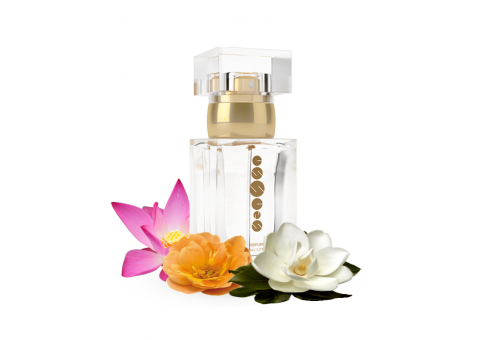 Parfum femei w111 50 ml