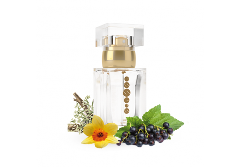 Parfum femei w114 50 ml