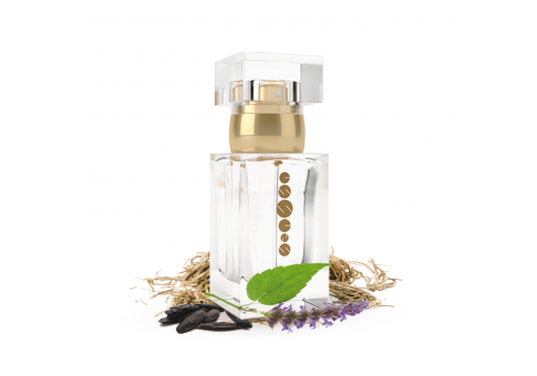 Parfum femei w117 50 ml